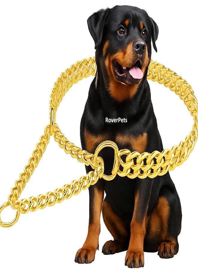 RoverPets Golden Stainless Steel 2-Layer Choke Chain Collar for Dogs | 24-Inch Martingale Training Collar for Medium & Large Breeds - Image 1